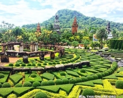 Посетить Ферму Марихуаны в Паттайе Тайланде экскурсия фото 20