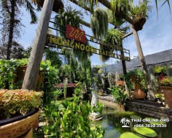 Посетить Ферму Марихуаны в Паттайе Тайланде экскурсия фото 65