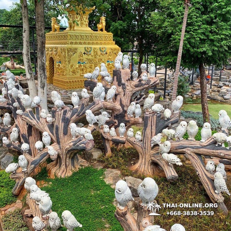 Посетить Ферму Марихуаны в Паттайе Тайланде экскурсия фото 1