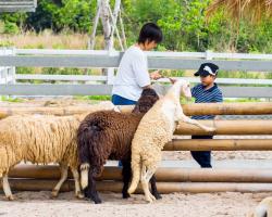 Кхао Кхео-2 открытый зоопарк фотография Thai-Online (1)
