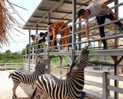 Кхао Кхео-2 открытый зоопарк фотография Thai-Online (5)