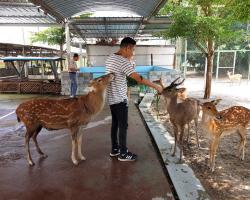Кхао Кхео-2 открытый зоопарк фотография Thai-Online (2)