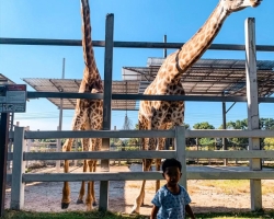 Кхао Кхео-2 открытый зоопарк фотография Thai-Online (33)