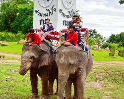 Кхао Кхео-2 открытый зоопарк фотография Thai-Online (26)