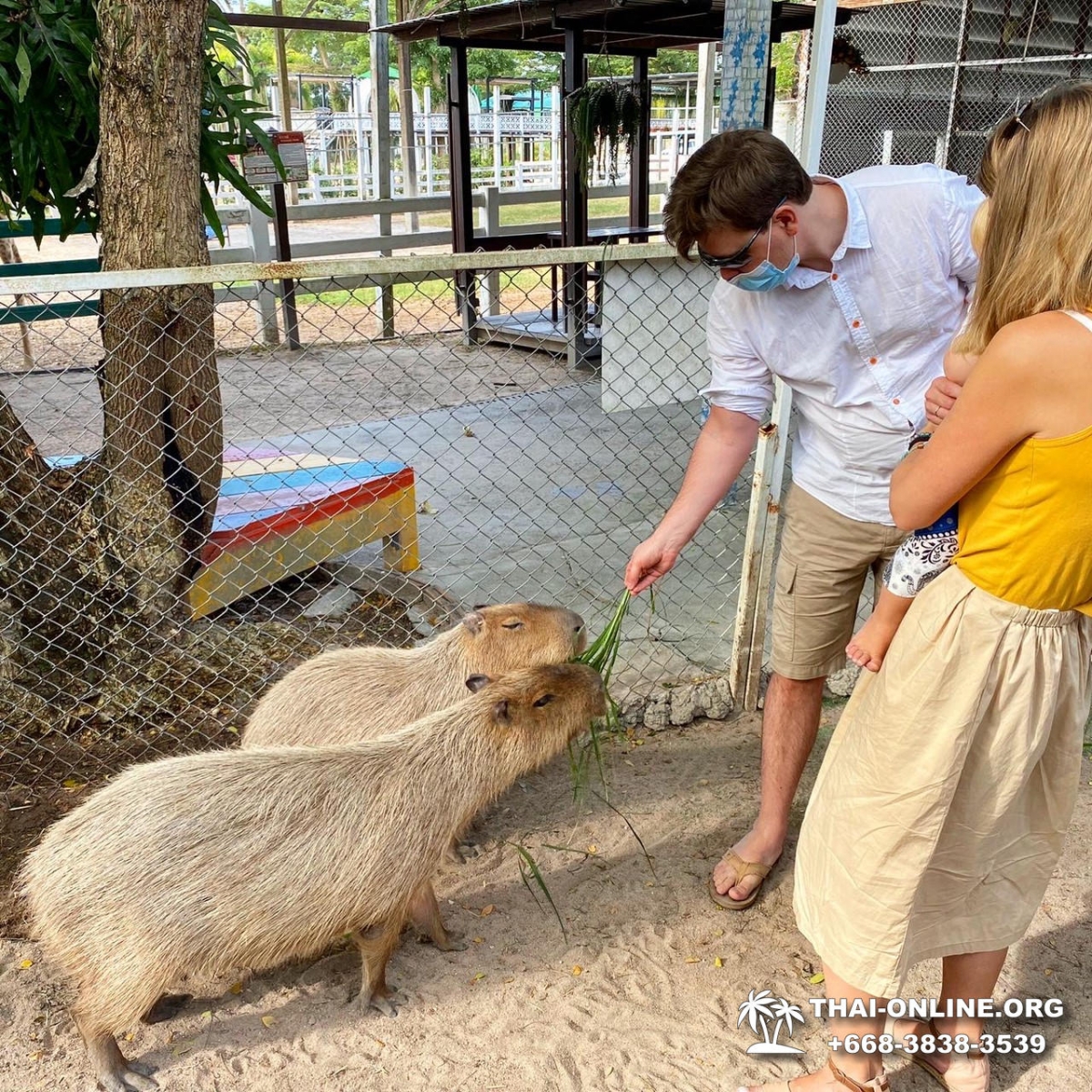 Кхао Кхео-2 открытый зоопарк фотография Thai-Online (20)