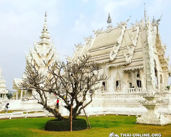 Золотой Треугольник и Дой Интанон тур 7 Countries Таиланд фото 39