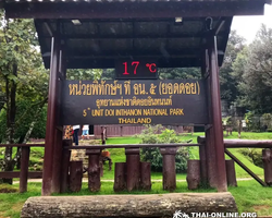 Золотой Треугольник и Дой Интанон тур 7 Countries Таиланд фото 29