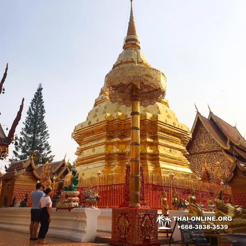 Золотой Треугольник и Дой Интанон тур 7 Countries Таиланд фото 31