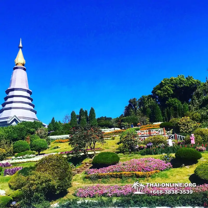 Дой Интанон тур Патайя Тайланд - фото Thai-Online 20