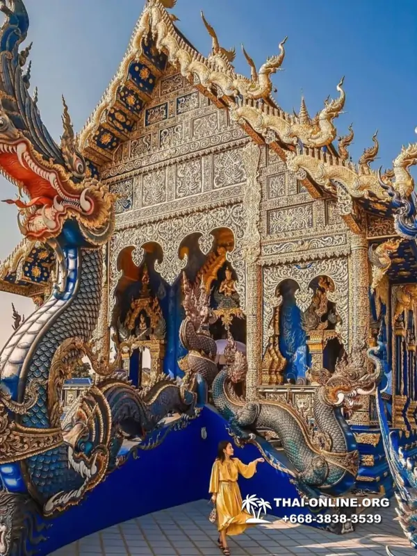 Экскурсия Золотой Треугольник и Дой Интханон на 3 дня из Паттайи, Бангкока, Хуахина или Пхукета экскурсия компании Seven Countries в Таиланде фото 16