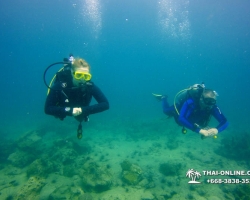 Intro Dive дайвинг в Тайланде курсы PADI Паттайя - фото 226
