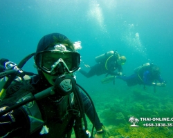 Intro Dive дайвинг в Тайланде курсы PADI Паттайя - фото 152