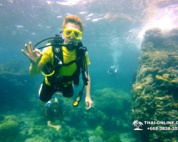 Intro Dive в Тайланде Патайя остров Ко Ман Вичай - фото 5