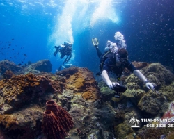 Intro Dive в Тайланде Патайя остров Ко Ман Вичай - фото 54