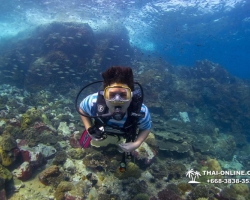 Intro Dive в Тайланде Патайя остров Ко Ман Вичай - фото 70