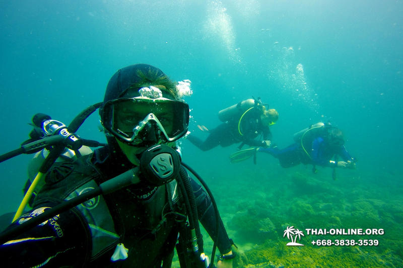 Intro Dive и Скуба Дайвинг для начинающих экскурсия компании Seven Countries в Паттайе Таиланде фото 41