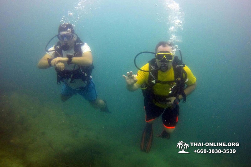 Intro Dive дайвинг в Тайланде курсы PADI Паттайя - фото 239
