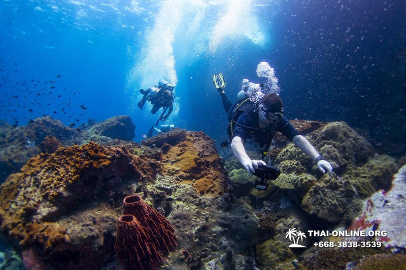 Intro Dive в Тайланде Патайя остров Ко Ман Вичай - фото 54