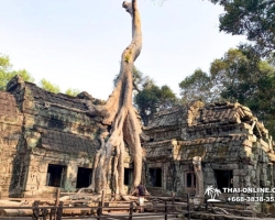 Экскурсия из Тайланда в Камбоджу Ангкор фото Тайонлайн 69