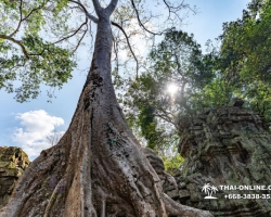 Экскурсия из Тайланда в Камбоджу Ангкор фото Тайонлайн 62