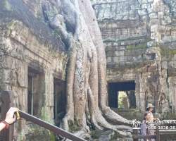 Экскурсия из Тайланда в Камбоджу Ангкор фото Тайонлайн 71