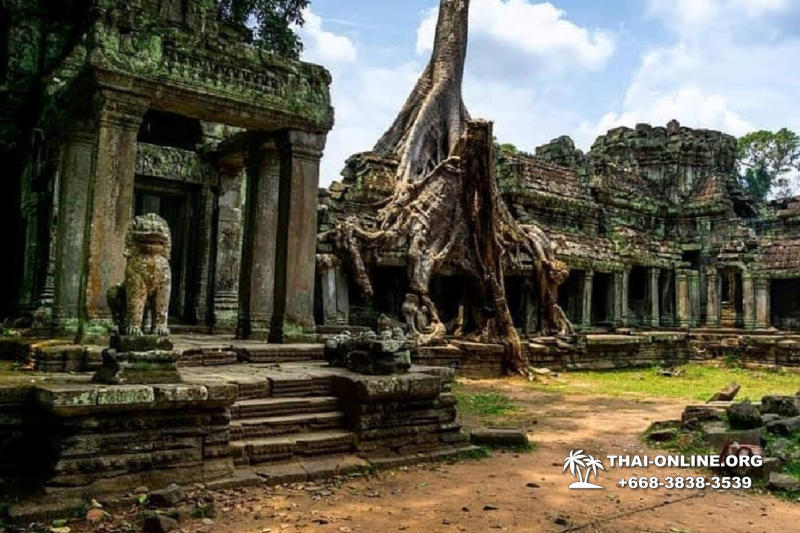 Камбоджа на 2 дня программа Премиум из Паттайи экскурсия Seven Countries в Паттайе фото 73