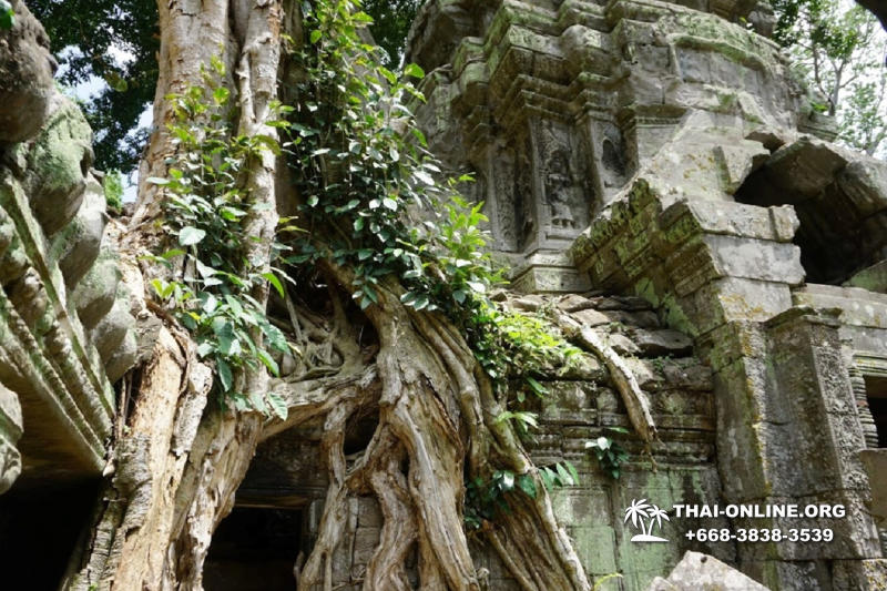 Экскурсия из Тайланда в Камбоджу Ангкор фото Тайонлайн 63