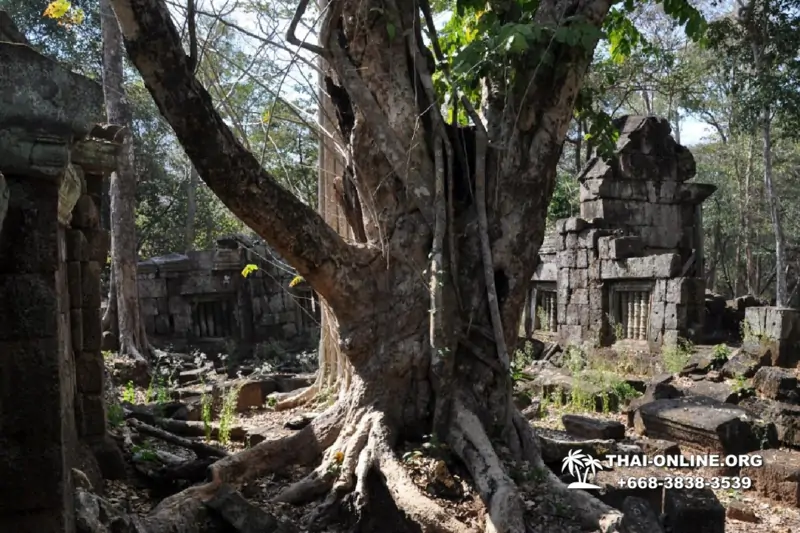 Камбоджа Ангкор Ват и Кох Кер из Паттайи экскурсия Seven Countries в Паттайе фото 3