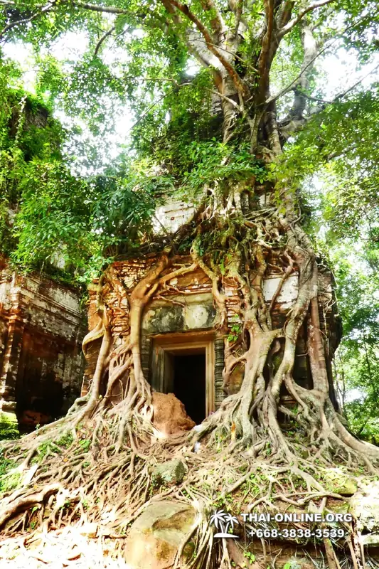 Камбоджа Ангкор Ват и Кох Кер из Паттайи экскурсия Seven Countries в Паттайе фото 17