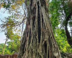 Ангкор Большой Круг экскурсии Паттайя Тайланд - фото Тайонлайн 23