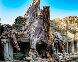Ангкор Большой Круг экскурсии Паттайя Тайланд - фото Тайонлайн 44