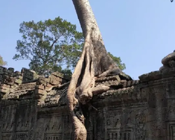 Ангкор Большой Круг экскурсии Паттайя Тайланд - фото Тайонлайн 72