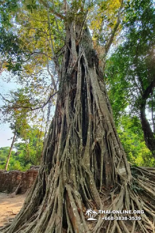 Ангкор Большой Круг экскурсии Паттайя Тайланд - фото Тайонлайн 23