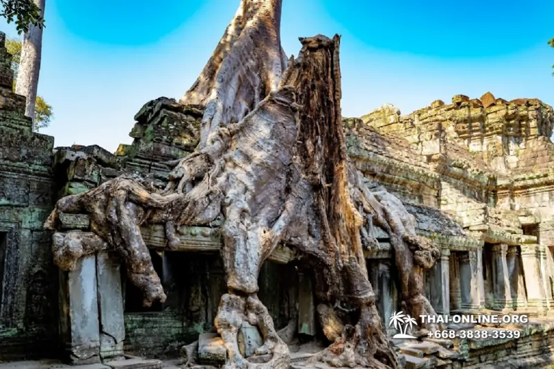 Ангкор Большой Круг экскурсии Паттайя Тайланд - фото Тайонлайн 44