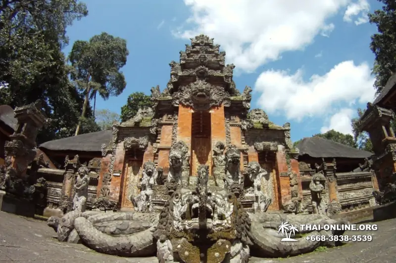 Поездка Бали Индонезия из Тайланда - фото Thai Online 134