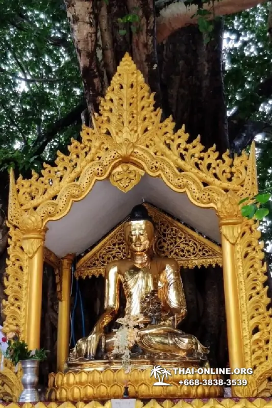Поездка Мьянма Бурма Янгон из Тайланда - фото Thai Online 113