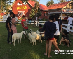 В Мире Животных - поездка в Тайланде - фото 2