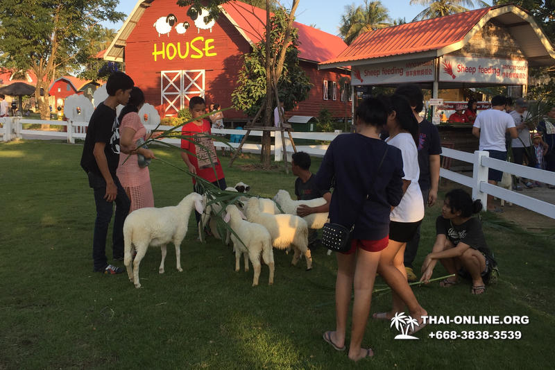 В Мире Животных экскурсия компании Seven Countries из Паттайи Таиланд фото 24