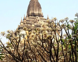 Бурма поездка в Баган из Тайланда - фото Thai Online 20