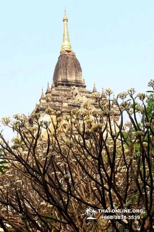 Бурма поездка в Баган из Тайланда - фото Thai Online 20