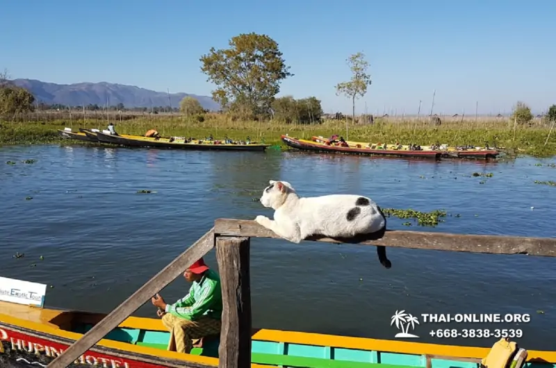 Мьянма из Таиланда Янгон и озеро Инле поездка с Паттайи фото 22