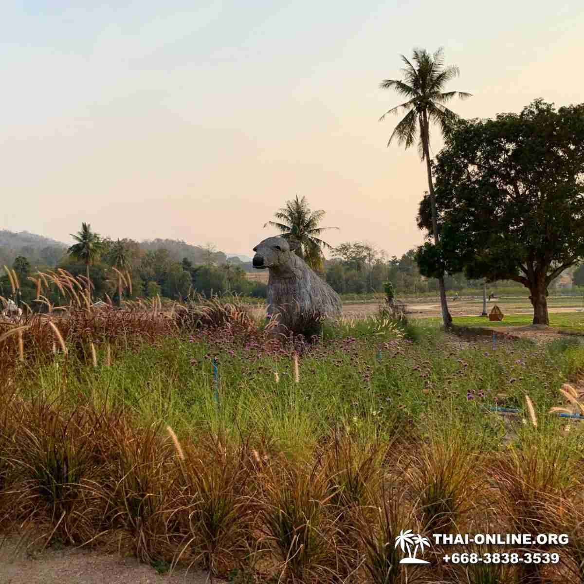 Чонбури Инстаграм-Тур из Паттайи в Тайланде фотография 50
