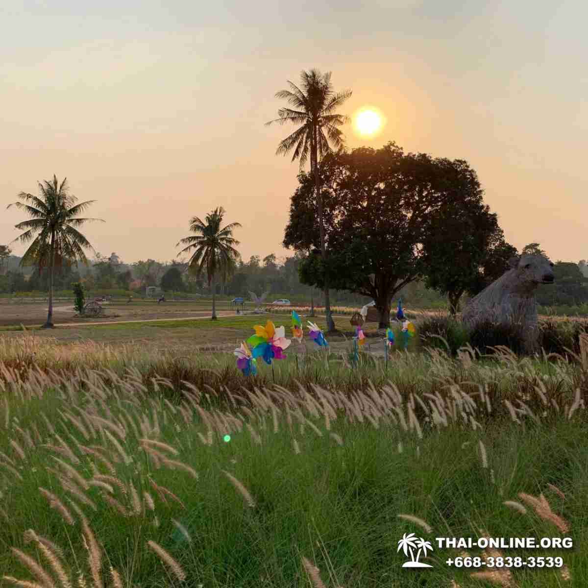 Чонбури Инстаграм-Тур из Паттайи в Тайланде фотография 47