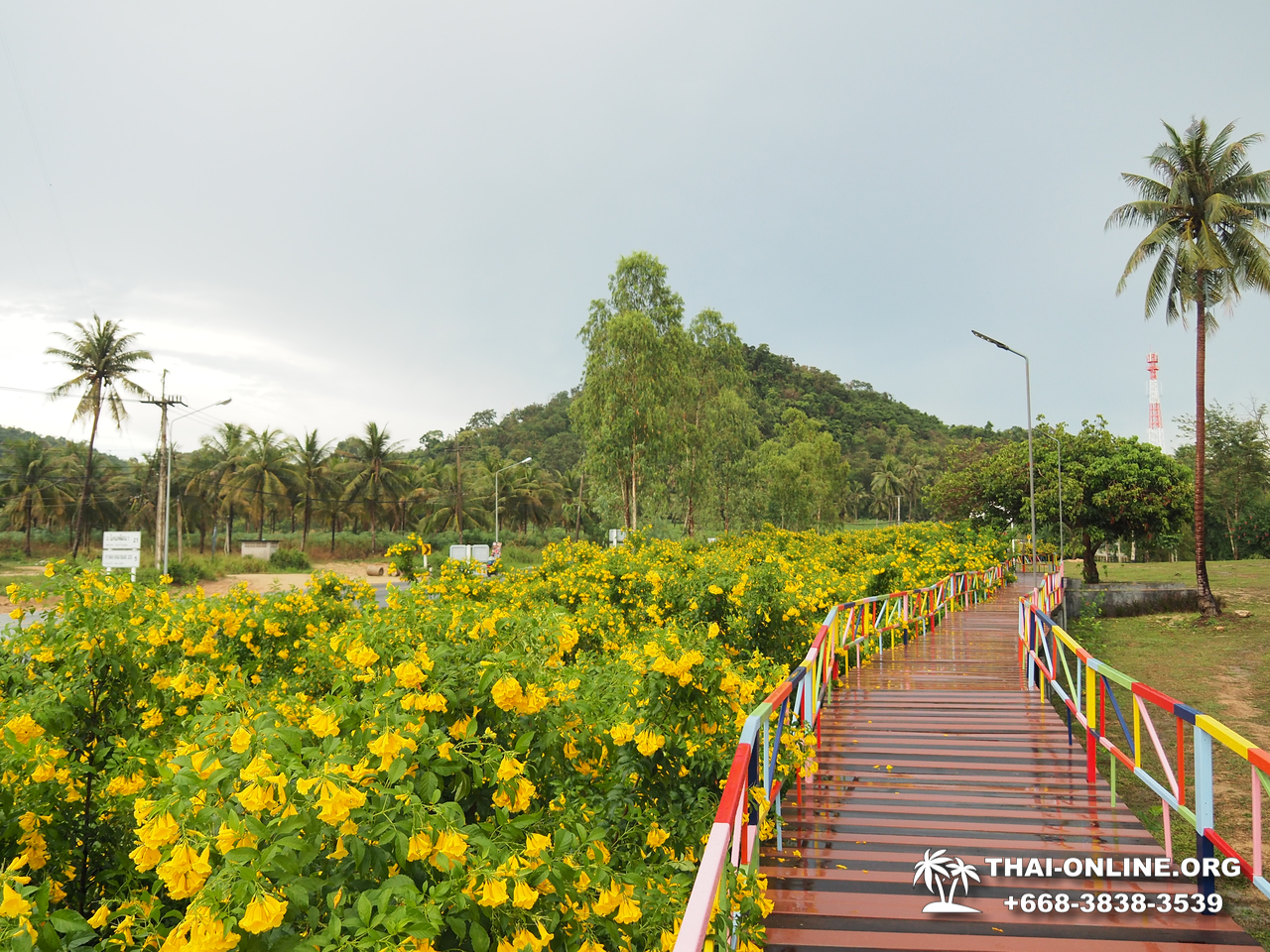 Чонбури Инстаграм-Тур из Паттайи в Тайланде фотография 5