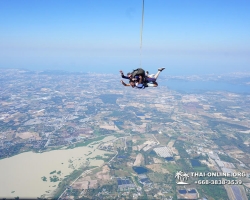 Тандем Скайдайвинг Thai Sky Adventures парашют прыжки Паттайя фото 80