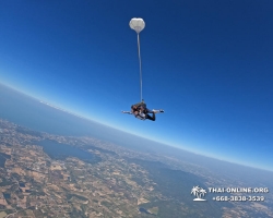 Тандем Скайдайвинг Thai Sky Adventures парашют прыжки Паттайя фото 78