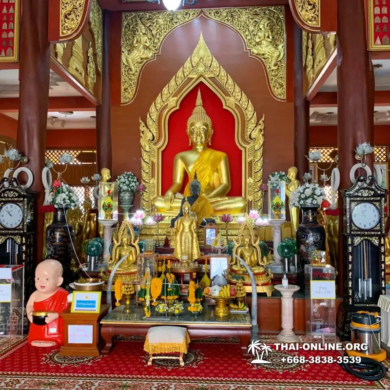 Экскурсия Рассвет на Лунной Горе с турагентством Seven Countries выполняется из Паттайи в провинцию Лопбури в центральном Тайланде - фото 19