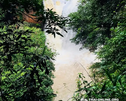 Край Водопадов Кхао Яй экскурсия в Тайланде - фото 43