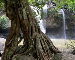 Край Водопадов Кхао Яй экскурсия в Тайланде - фото 73