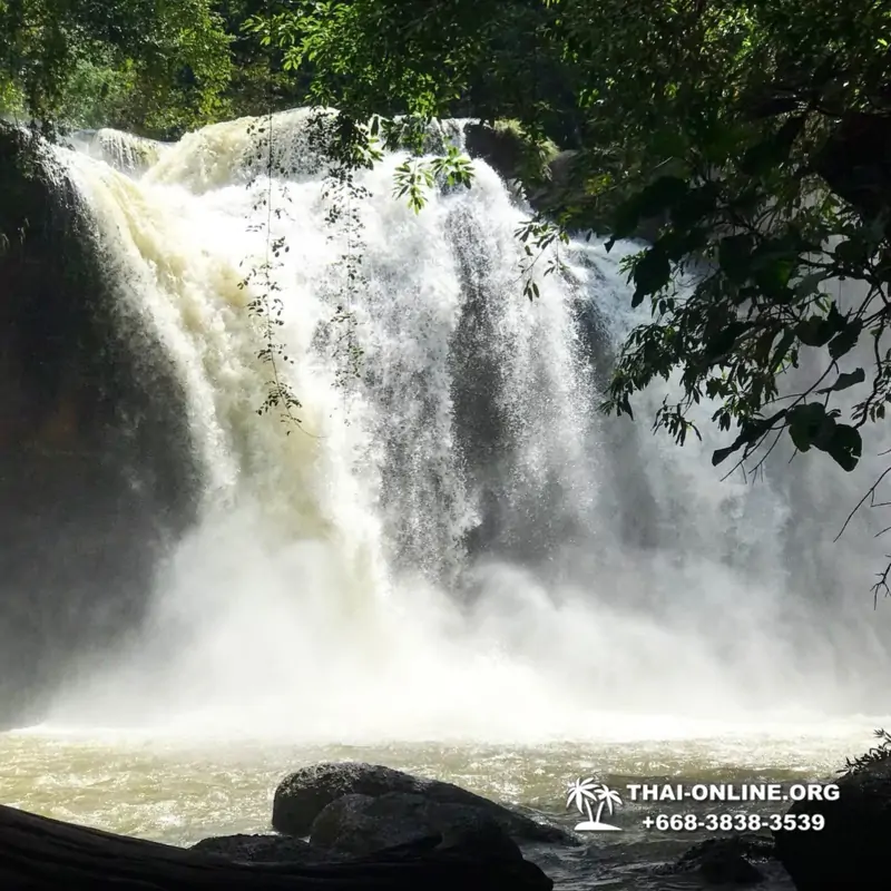 Край Водопадов Кхао Яй экскурсия в Тайланде - фото 95